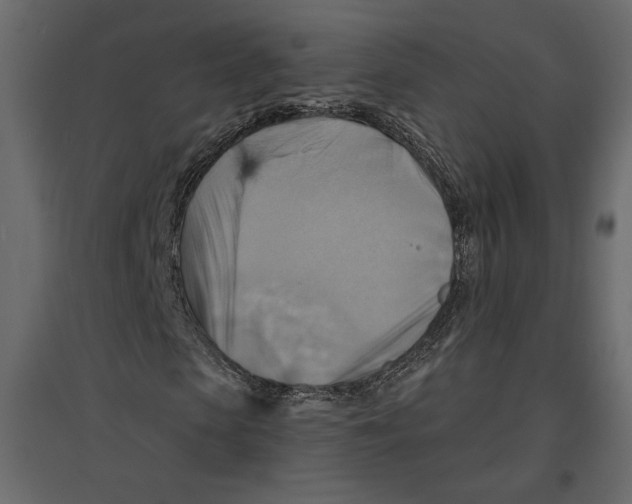 X0000096970913200803071002