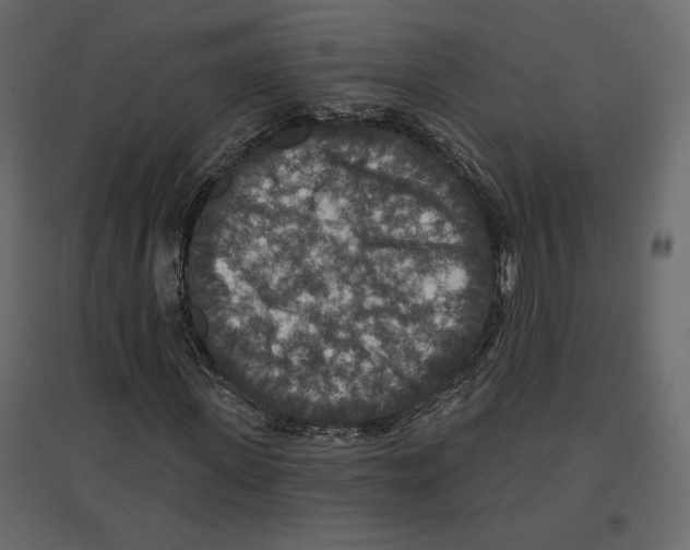 X0000096970915200803071002