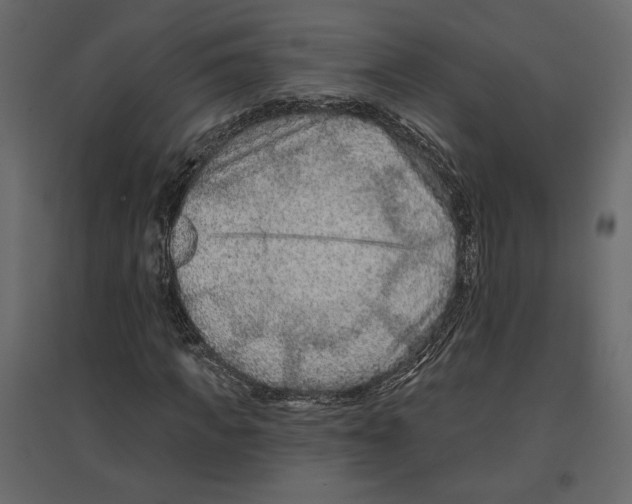 X0000096970917200803071002