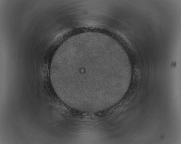 X0000096970918200803071002