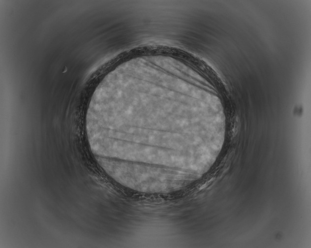 X0000096970919200803071002