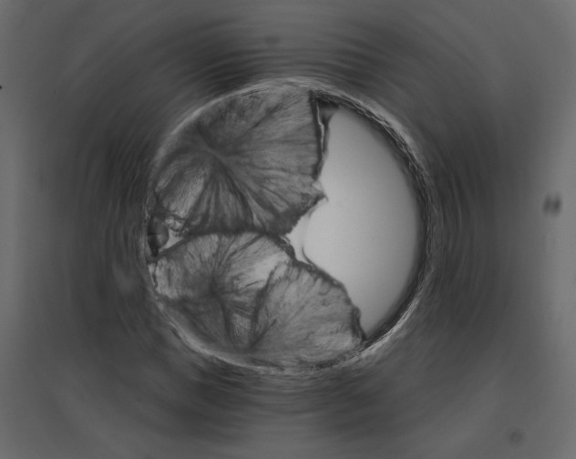 X0000096970921200803071002