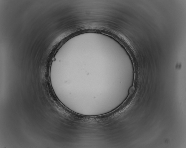 X0000096970922200803071002