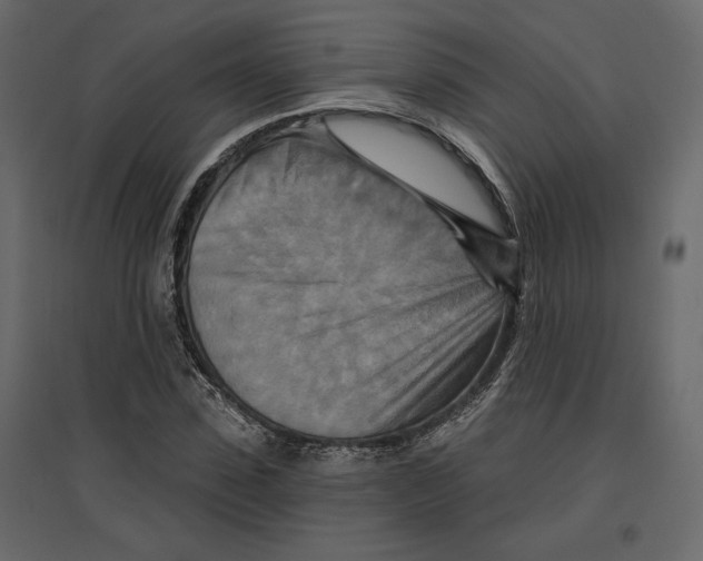 X0000096970923200803071002