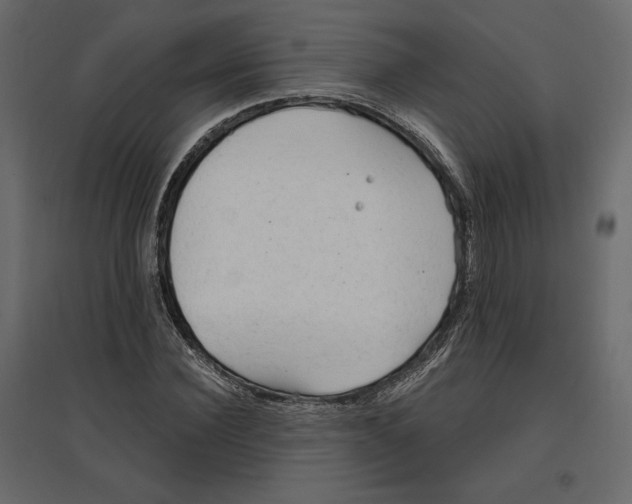 X0000096970924200803071002