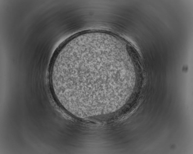 X0000096970928200803071002