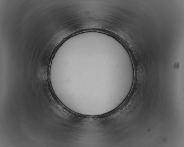 X0000096970929200803071002