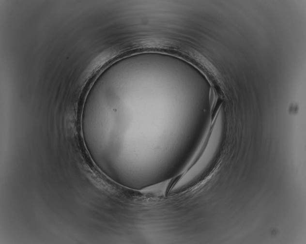 X0000096970930200803071002