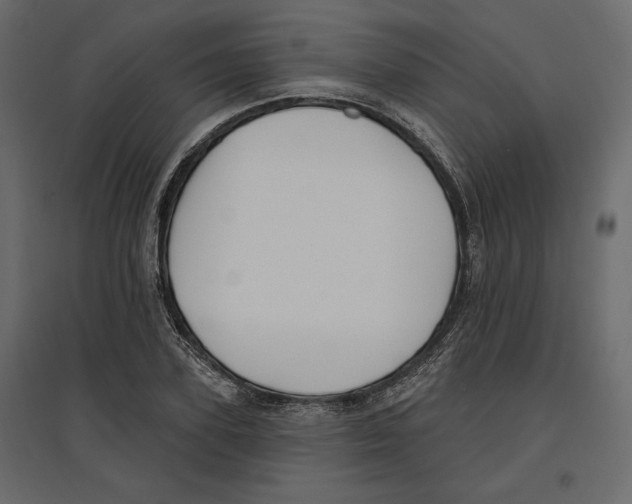 X0000096970931200803071002