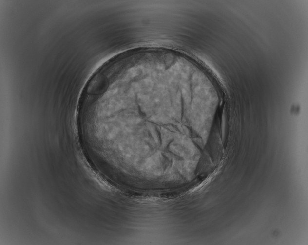 X0000096970932200803071002