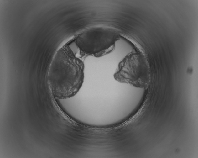 X0000096970933200803071003