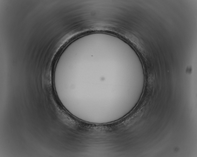 X0000096970934200803071003