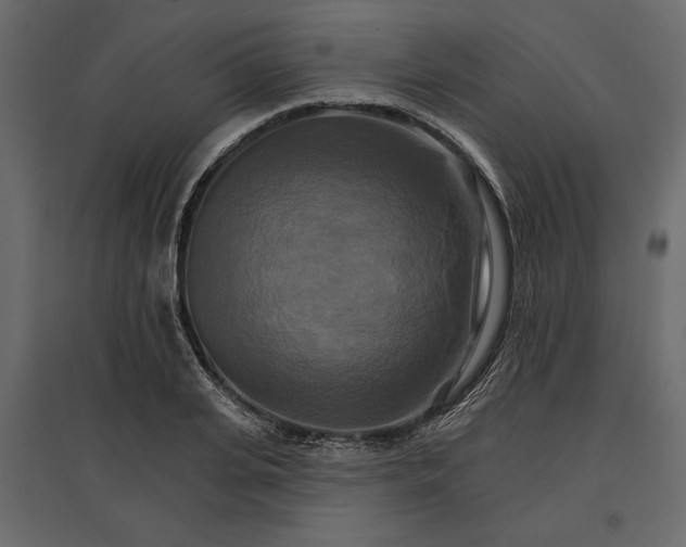 X0000096970935200803071003