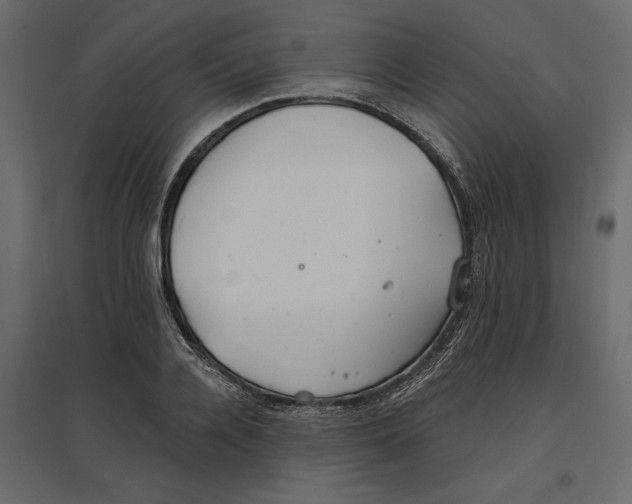 X0000096970936200803071003