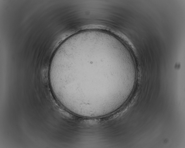 X0000096970937200803071003