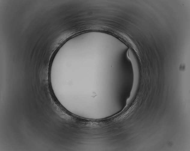 X0000096970938200803071003