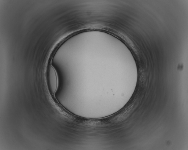 X0000096970939200803071003
