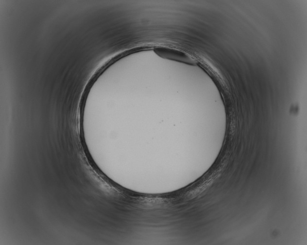 X0000096970940200803071003