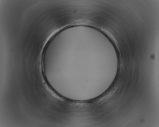 X0000096970941200803071003