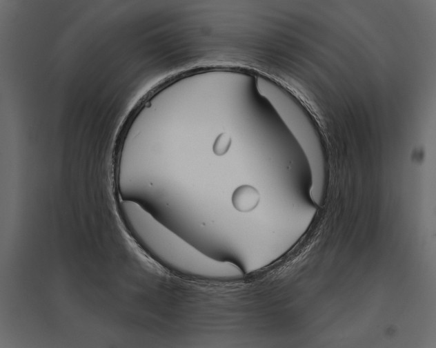 X0000096970942200803071003
