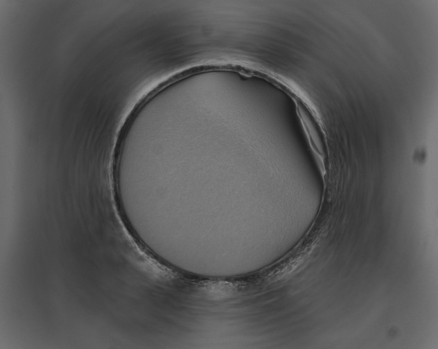 X0000096970943200803071003