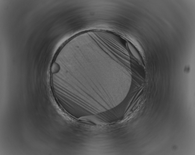 X0000096970944200803071003