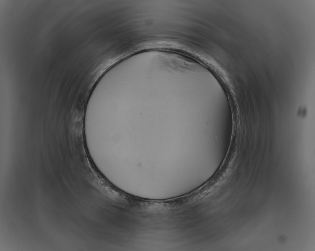 X0000096970945200803071003