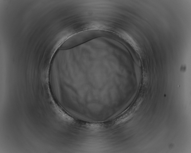 X0000096970946200803071003
