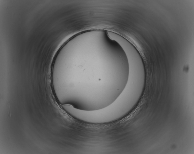 X0000096970948200803071003