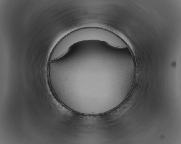 X0000096970951200803071003