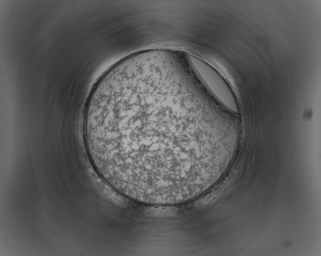 X0000096970952200803071003
