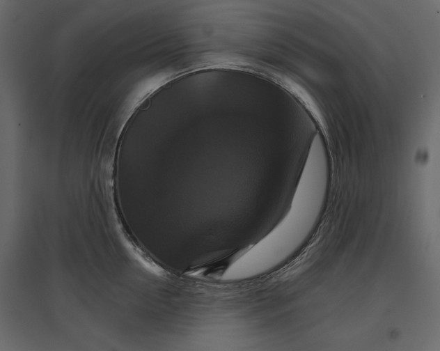 X0000096970954200803071003