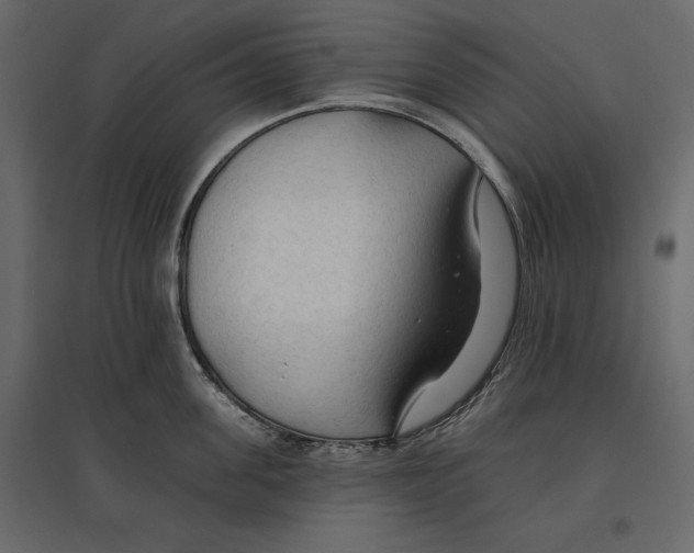 X0000096970955200803071003