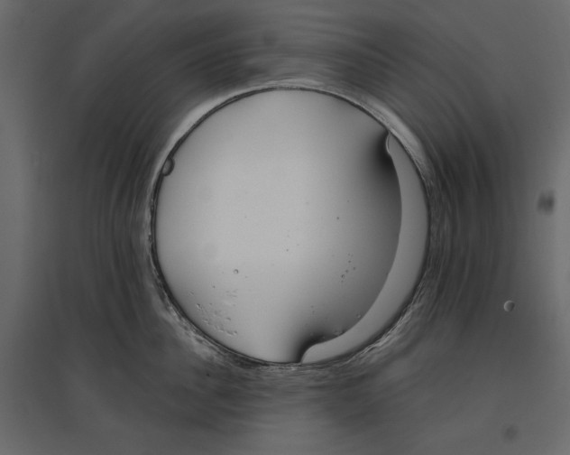 X0000096970956200803071003