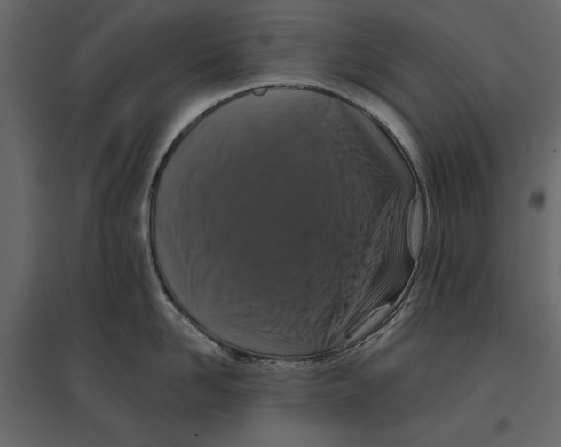 X0000096970958200803071003