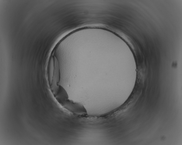 X0000096970959200803071003