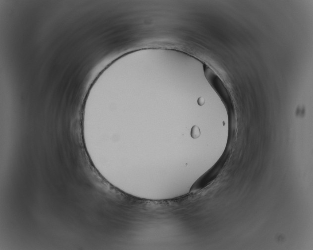 X0000096970960200803071003