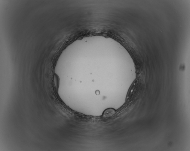 X0000096970961200803071002