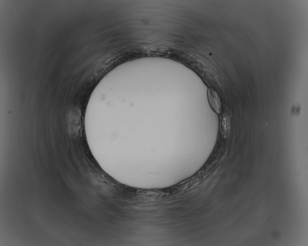 X0000096970963200803071002