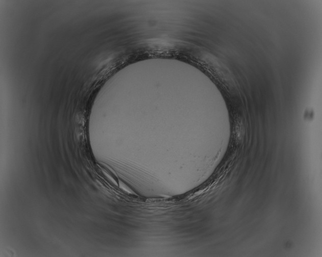 X0000096970964200803071002