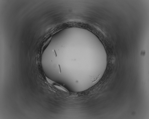 X0000096970965200803071002