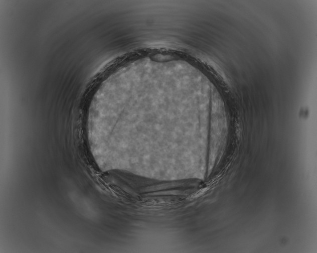 X0000096970968200803071002