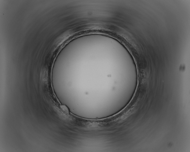 X0000096970969200803071002