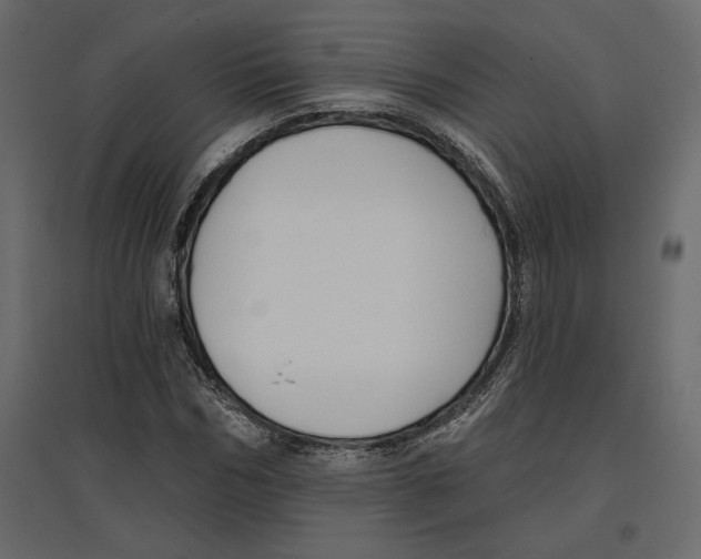 X0000096970970200803071002