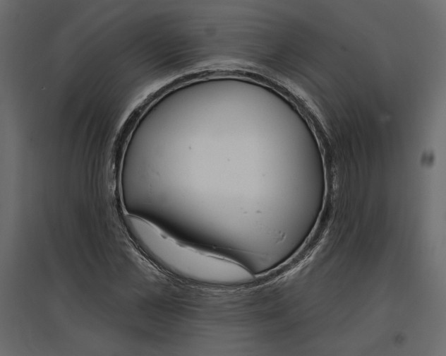 X0000096970973200803071002