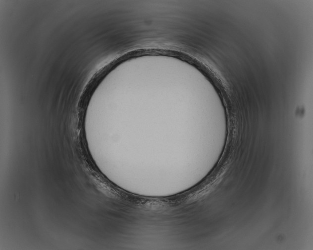 X0000096970974200803071002