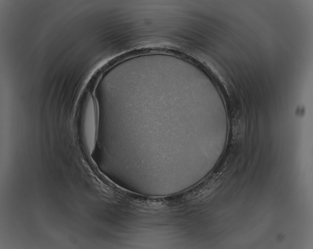 X0000096970975200803071002