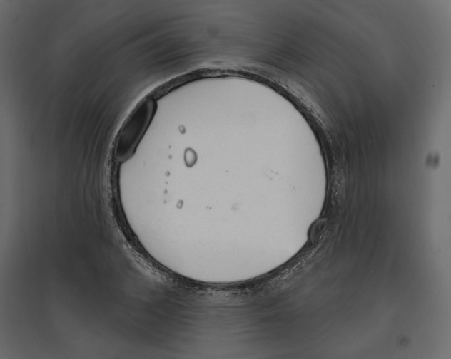 X0000096970976200803071002