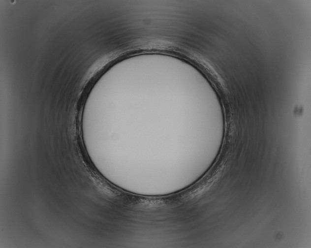 X0000096970978200803071002