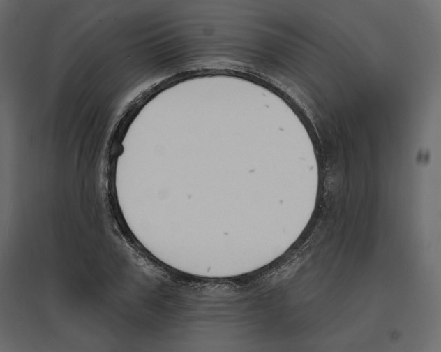 X0000096970979200803071002